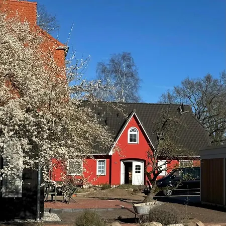 Kapitänshaus Scharmberg, Ferienwohnung Kormoran Born Exterior foto