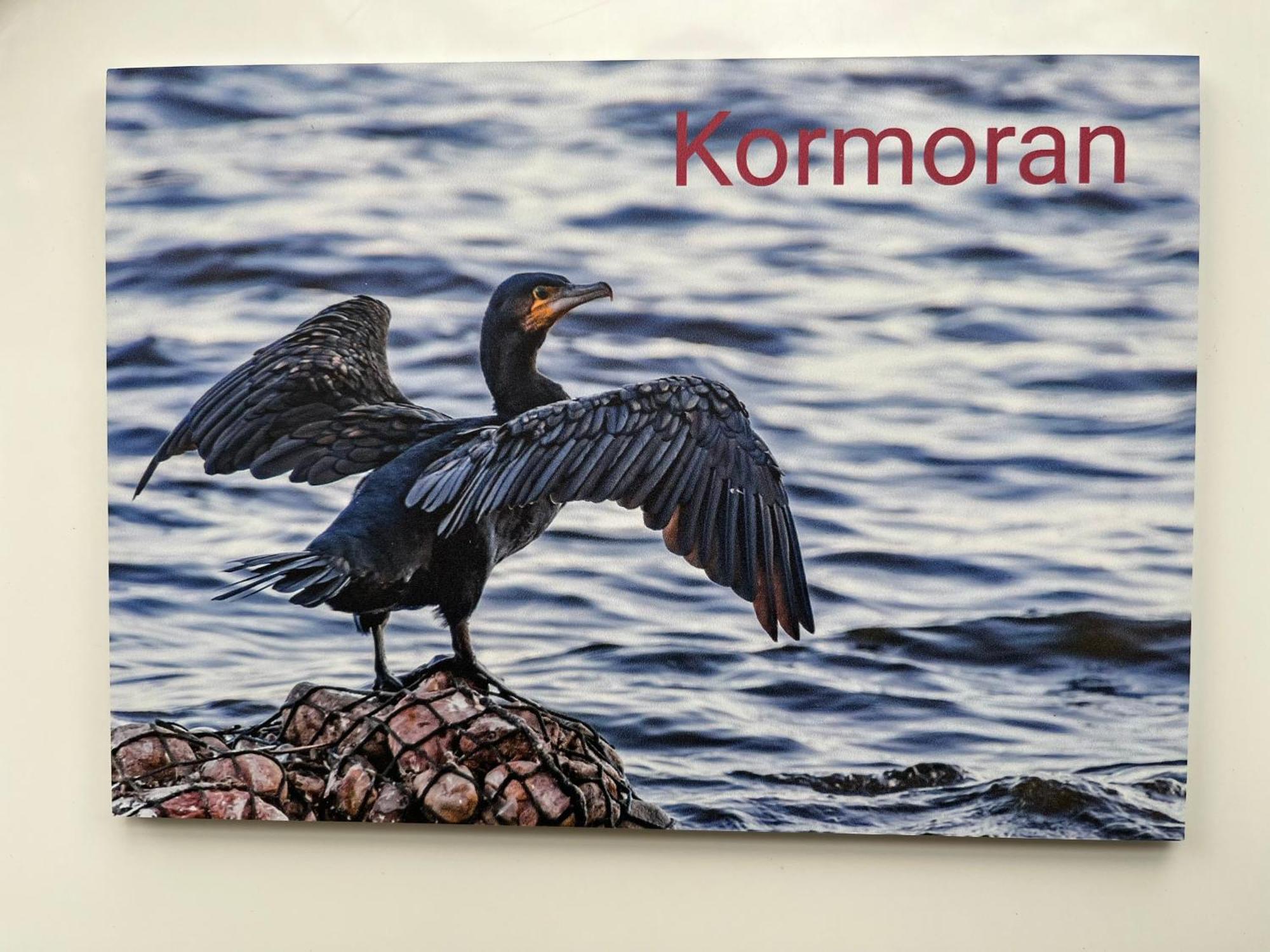 Kapitaenshaus Scharmberg, Kormoran Apartment